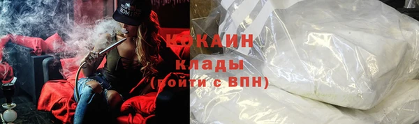 индика Белокуриха