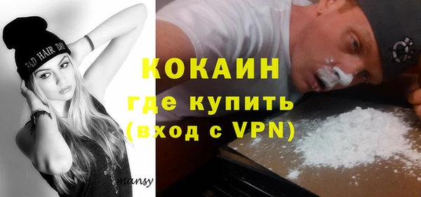 индика Белокуриха