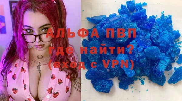 индика Белокуриха