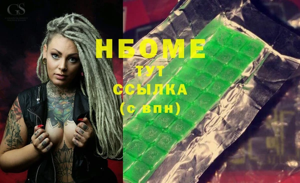 индика Белокуриха