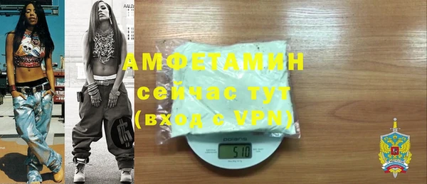 индика Белокуриха