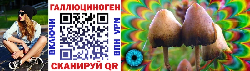 Псилоцибиновые грибы мицелий хочу Гудермес